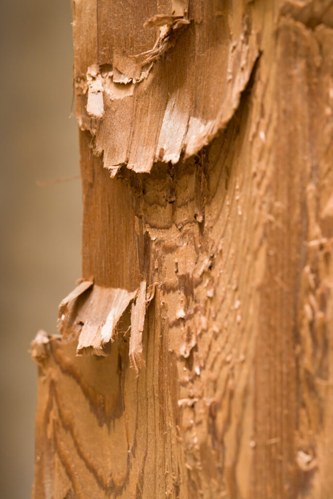 David Adamo, Untitled, 2011 – Courtesy l_artista, Ph. F. Tommasoli