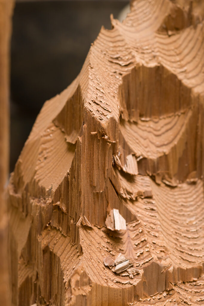 David Adamo, Untitled, 2011 – Courtesy l_artista, Ph. F. Tommasoli(1)