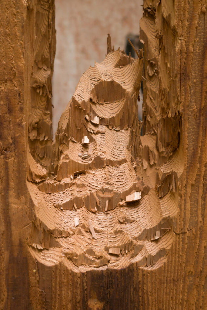 David Adamo, Untitled, 2011 – Courtesy l_artista, Ph. F. Tommasoli(2)