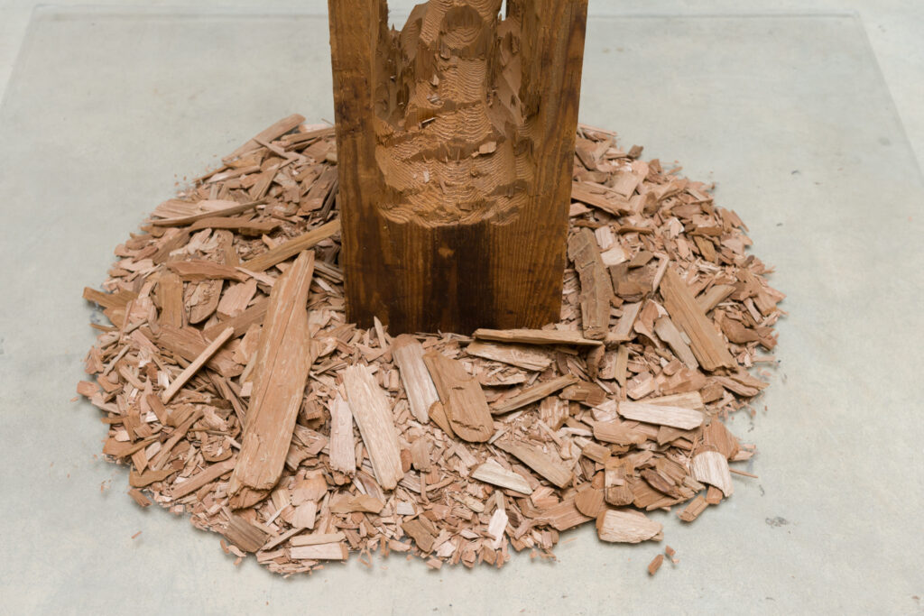 David Adamo, Untitled, 2011 – Courtesy l_artista, Ph. F. Tommasoli(4)