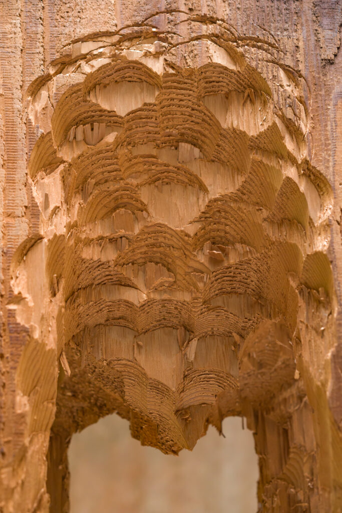 David Adamo, Untitled, 2011 – Courtesy l_artista, Ph. F. Tommasoli(5)
