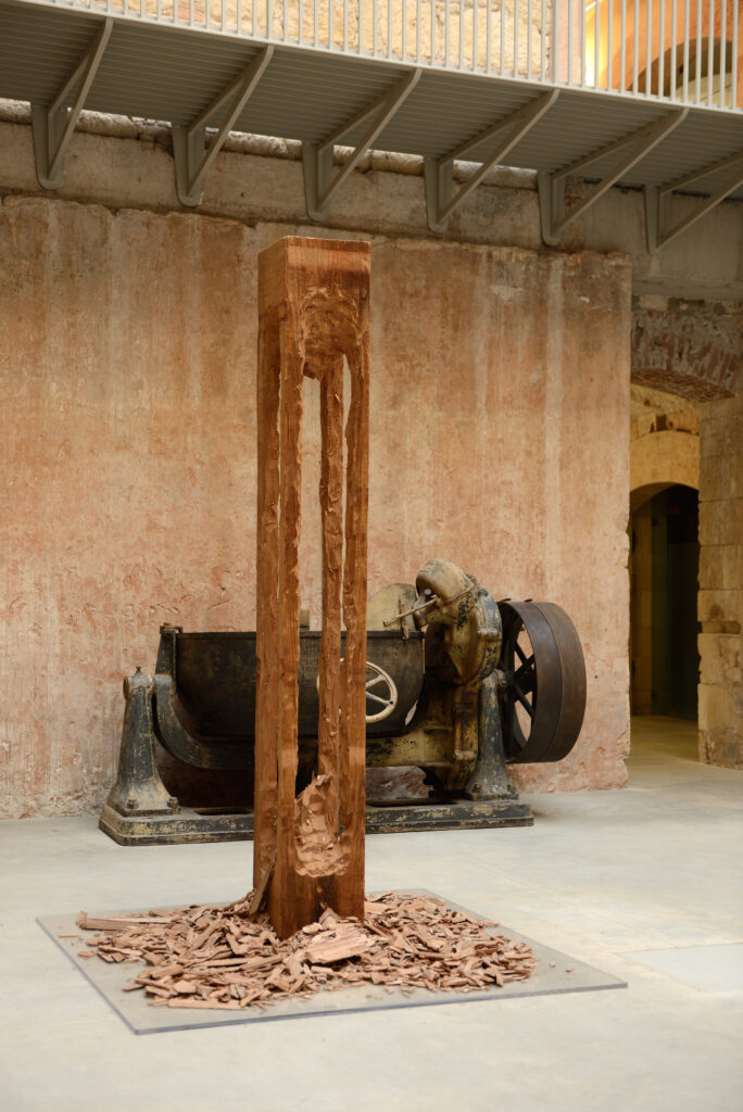 David Adamo, Untitled, 2011, installation view, Polo di Santa Marta – Courtesy l_artista, Ph. M. A. Sereni.jpg