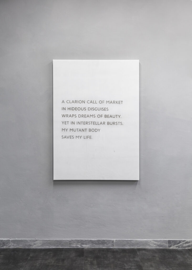 Apparatus 22, V1 (Arrangements and Haze series), 2017, installation view, GALLLERIAPIÙ, Bologna – Courtesy gli artisti