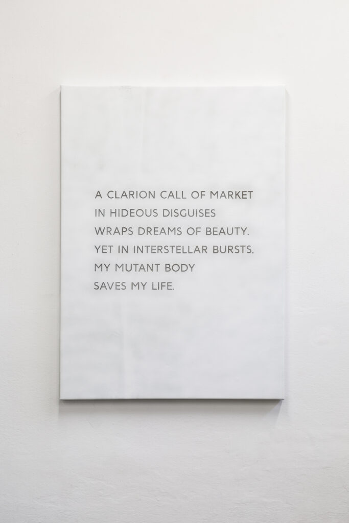 Apparatus 22, V1 (Arrangements and Haze series), 2017, installation view, GALLLERIAPIÙ, Bologna – Courtesy gli artisti(1)