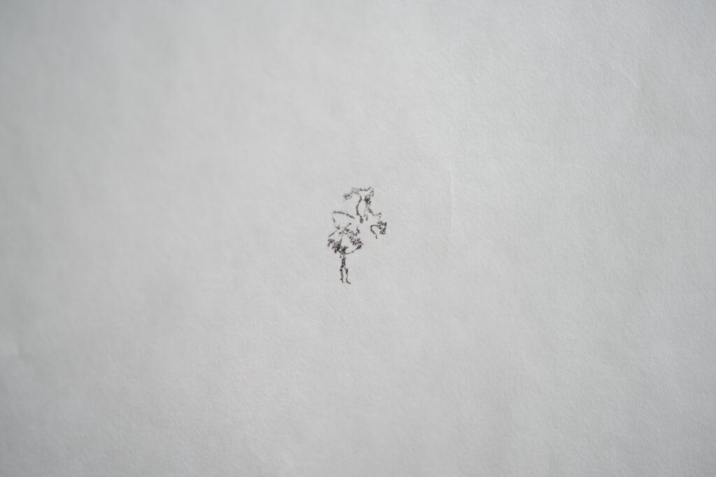 Emanuele Becheri, Rilascio, 2006 – Courtesy l’artista, Ph. F. Tommasoli.jpg