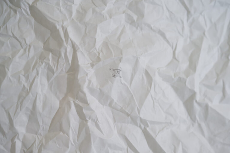 Emanuele Becheri, Rilascio, 2006 – Courtesy l’artista, Ph. F. Tommasoli.jpg -2