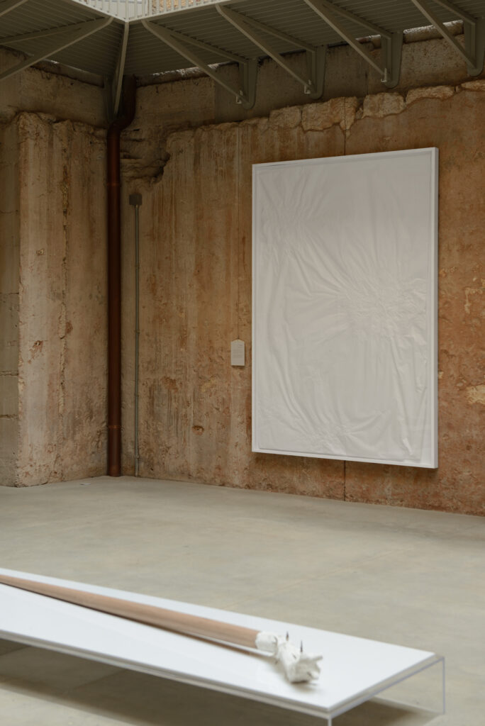 Emanuele Becheri, Rilascio, 2006 – Courtesy l’artista, Ph. M. A. Sereni.jpg