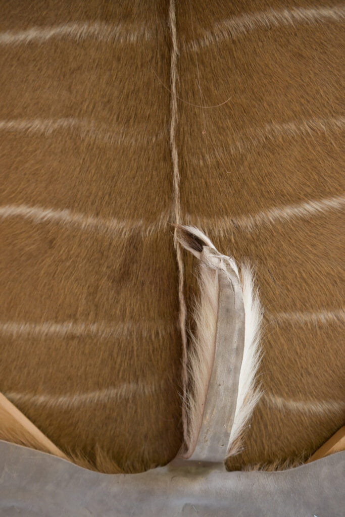 Étienne Chambaud, Contre-Dépouille, 2012 – Courtesy l_artista, Ph. F. Tommasoli(3)