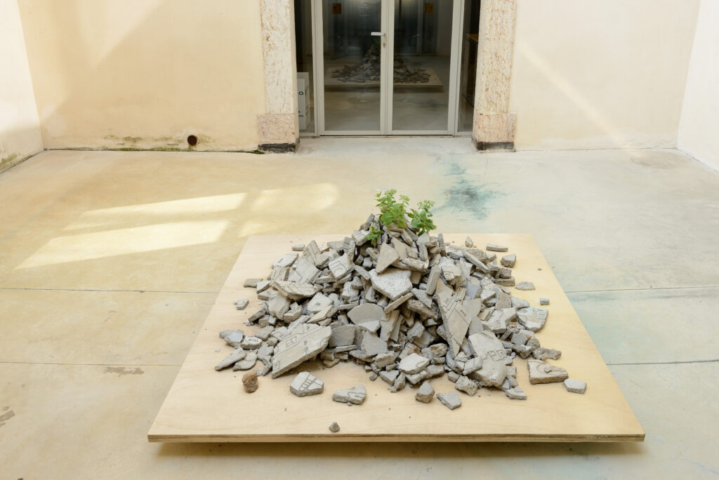 Francolino Andrea, Performance di una pianta, 2013-2015 – Courtesy l’artista, Ph. M. A. Sereni