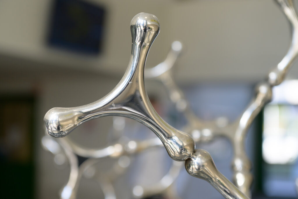 Loris Cecchini, Waterbones, 2015 – Courtesy l_artista, Ph. F. Tommasoli(1)