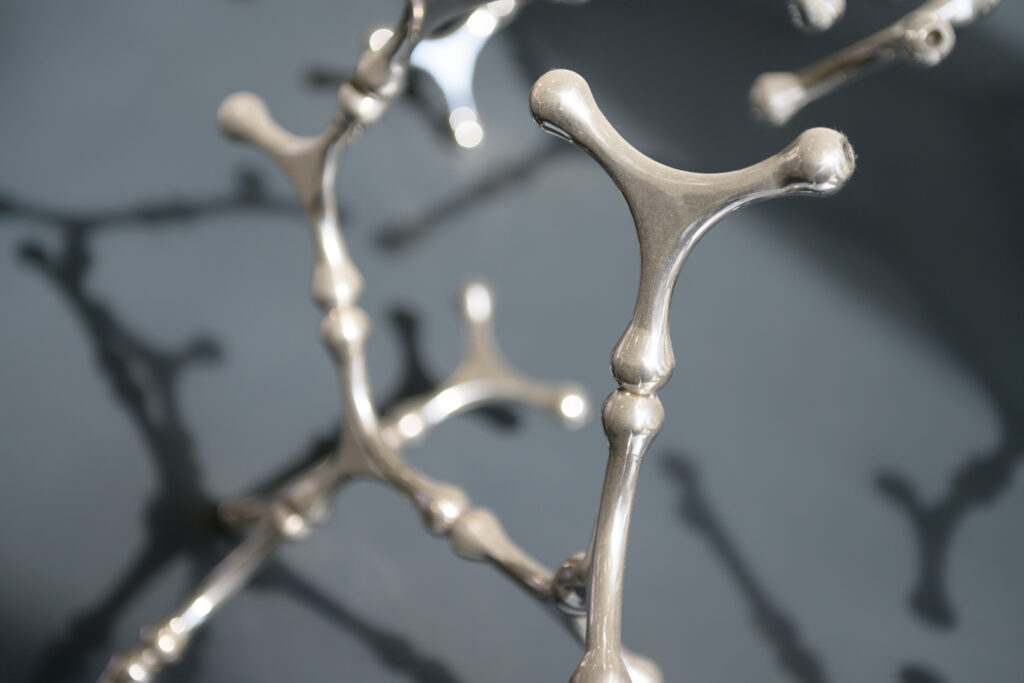 Loris Cecchini, Waterbones, 2015 – Courtesy l_artista, Ph. F. Tommasoli(3)