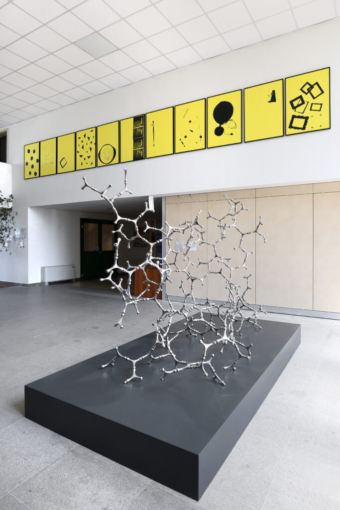 Loris Cecchini, Waterbones, 2015, installation view, Polo di Ca’ Vignal – Courtesy l_artista, Ph. M. A. Sereni_