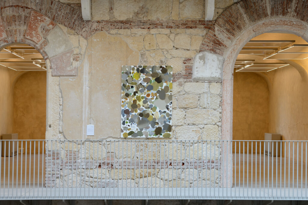 Luca Bertolo, Proof 07#05, 2007, installation view, Polo di Santa Marta – Courtesy l’artista, Ph. M. A