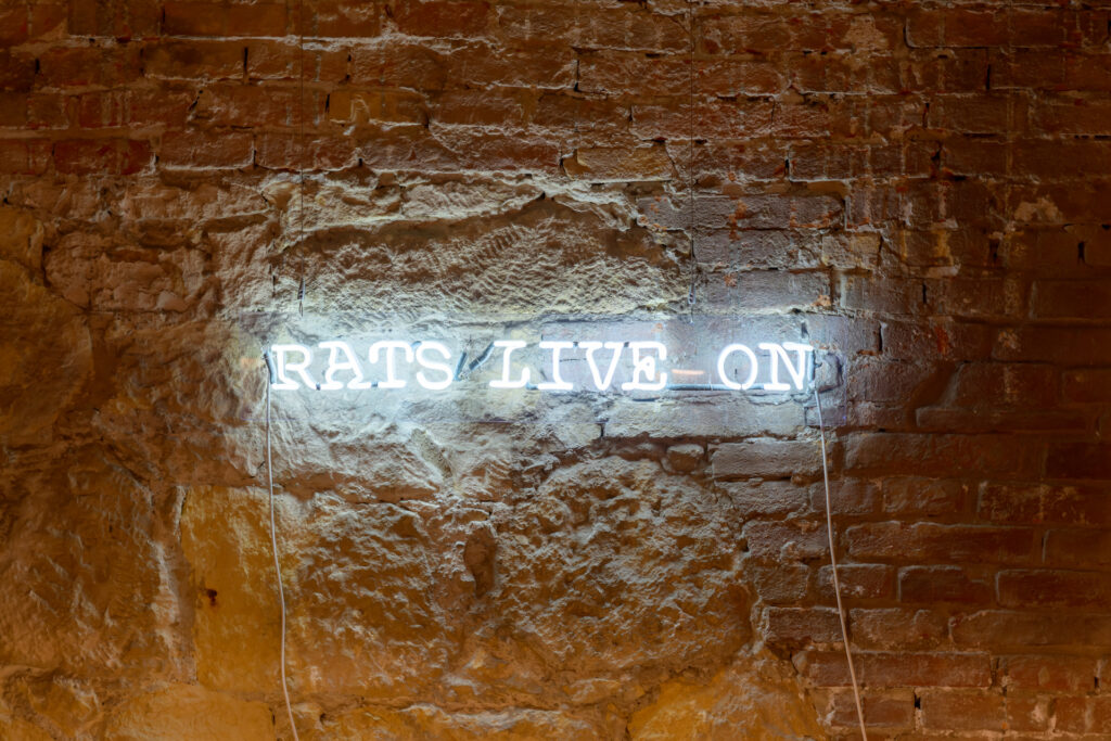 Maria Adele Del Vecchio, Rats live on, 2015 – Courtesy l_artista, Ph. F. Tommasoli(1)