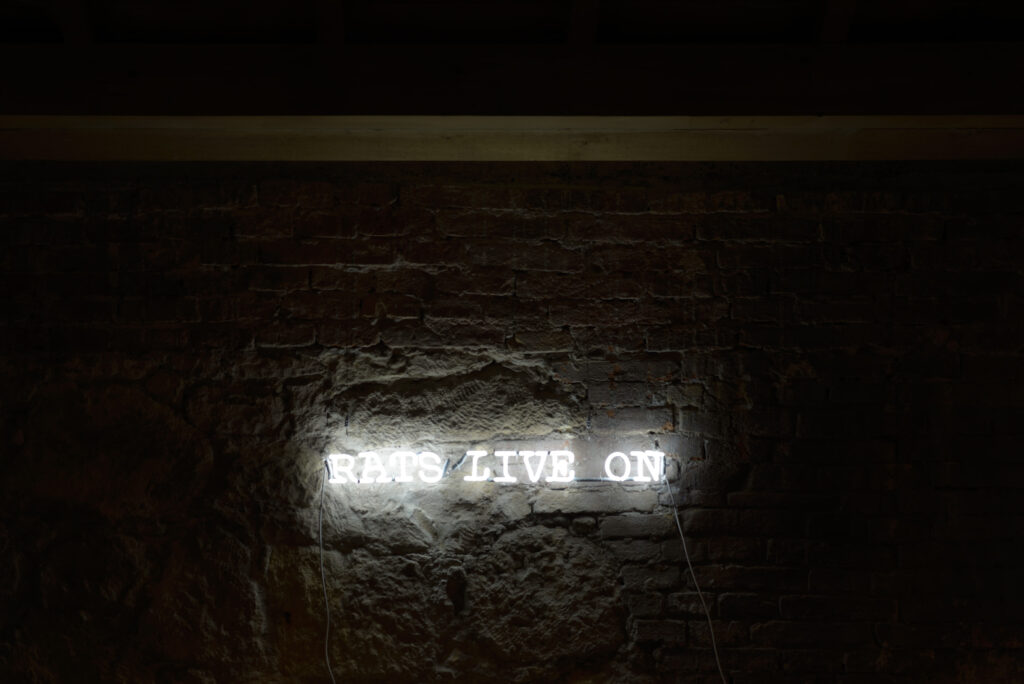 Maria Adele Del Vecchio, Rats live on, 2015 – Courtesy l_artista, Ph. M. A. Sereni