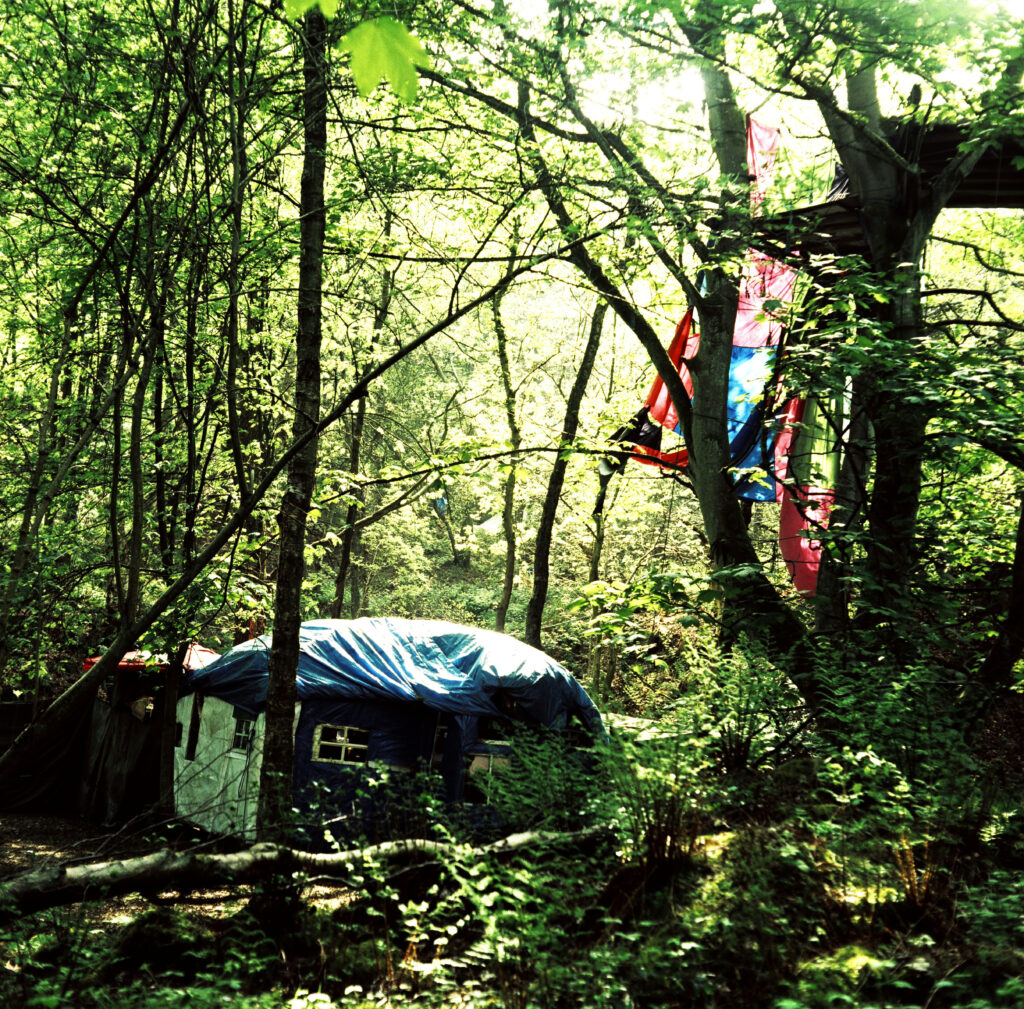 Adelita Husni Bey, A Treesitting Archive, 2008 – Courtesy l_artista