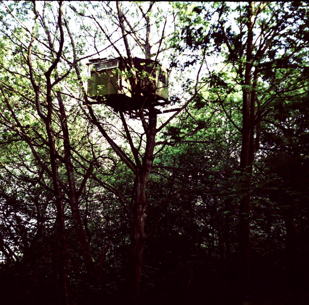 Adelita Husni Bey, A Treesitting Archive, 2008 – Courtesy l_artista(1)