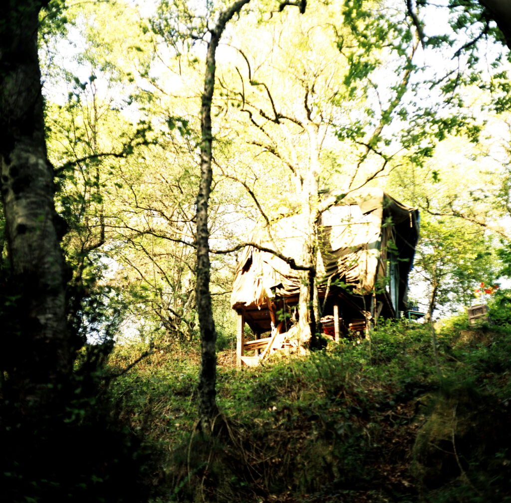 Adelita Husni Bey, A Treesitting Archive, 2008 – Courtesy l_artista(2)