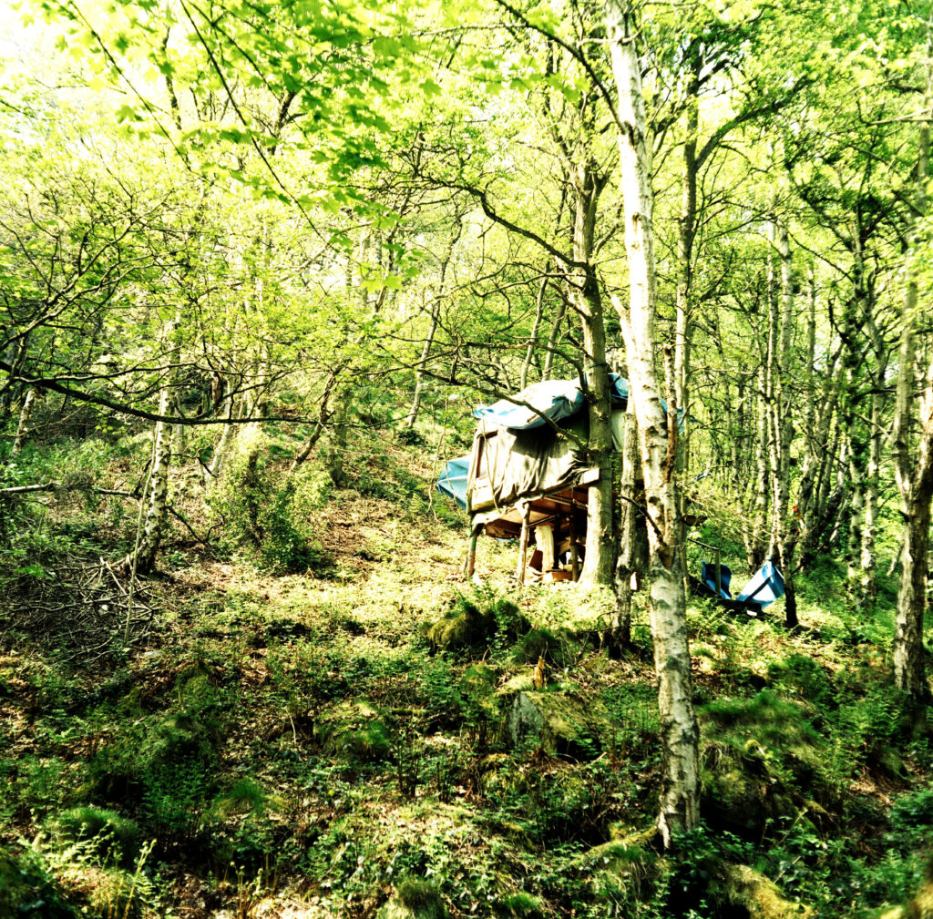 Adelita Husni Bey, A Treesitting Archive, 2008 – Courtesy l_artista(4)