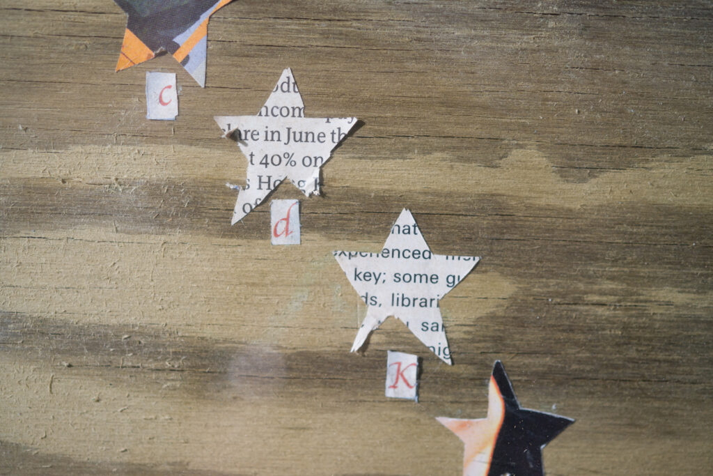 Alexandre Singh, The Economist (Esthetic moon), 2006 – Courtesy l_artista, Ph. F. Tommasoli(2)