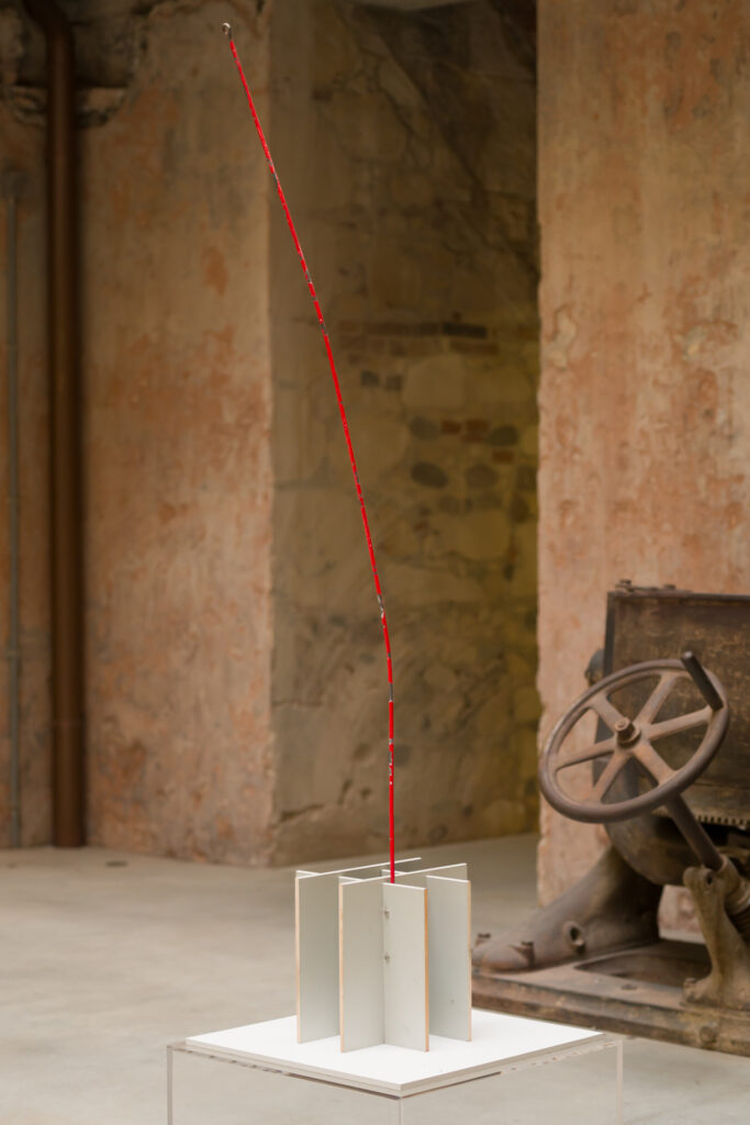 Christoph Meier, untitled, 2011 – Courtesy l’artista, Ph. F. Tommasoli(1)
