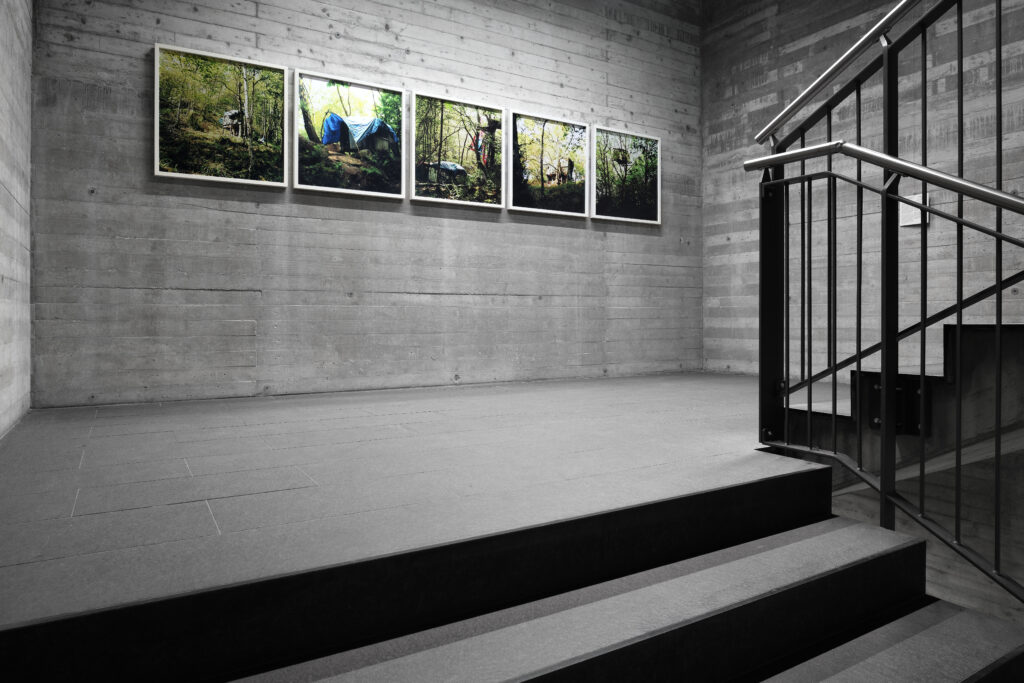 Installation view 13