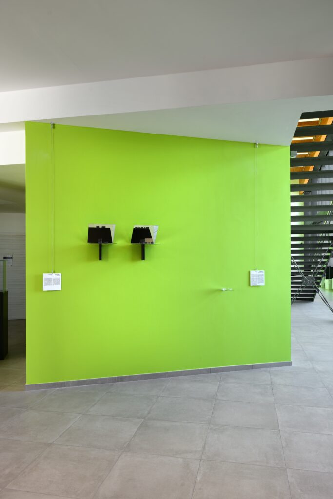 Jacopo Mazzonelli, Bird is not a Bird #4, 2010, installation view, Polo di Ca’ Vignal – Courtesy l_artista, Ph. M. A. Sereni