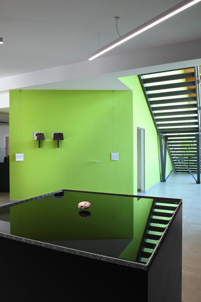 Jacopo Mazzonelli, Bird is not a Bird #4, 2010, installation view, Polo di Ca’ Vignal – Courtesy l_artista, Ph. M. A. Sereni(1)