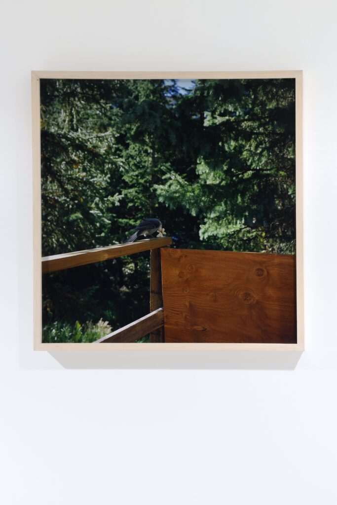 James Yamada, Two ways to build a fence, 2003 – Courtesy l_artista, Ph. M. A. Sereni(1)