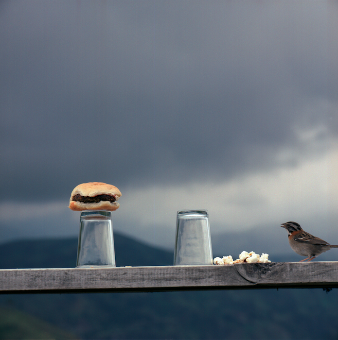 James Yamada, Vegetarian hamburger _ breath in one glass, 2003 – Courtesy l’artista