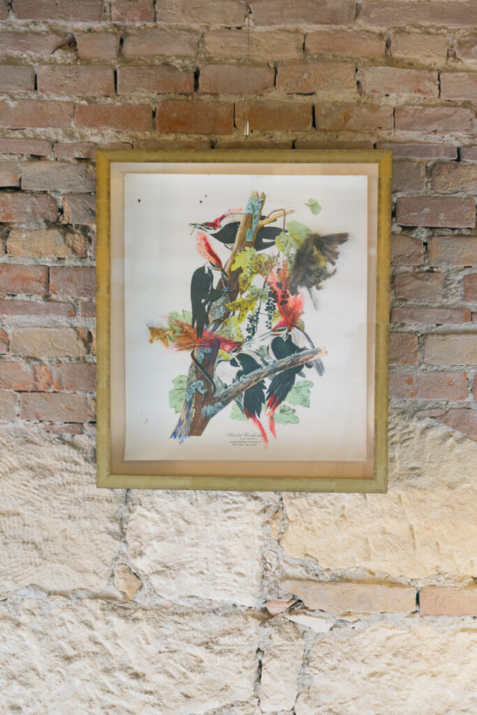 Jorge Peris, Picus, 2012 – Courtesy l_artista, Ph. F. Tommasoli(3)