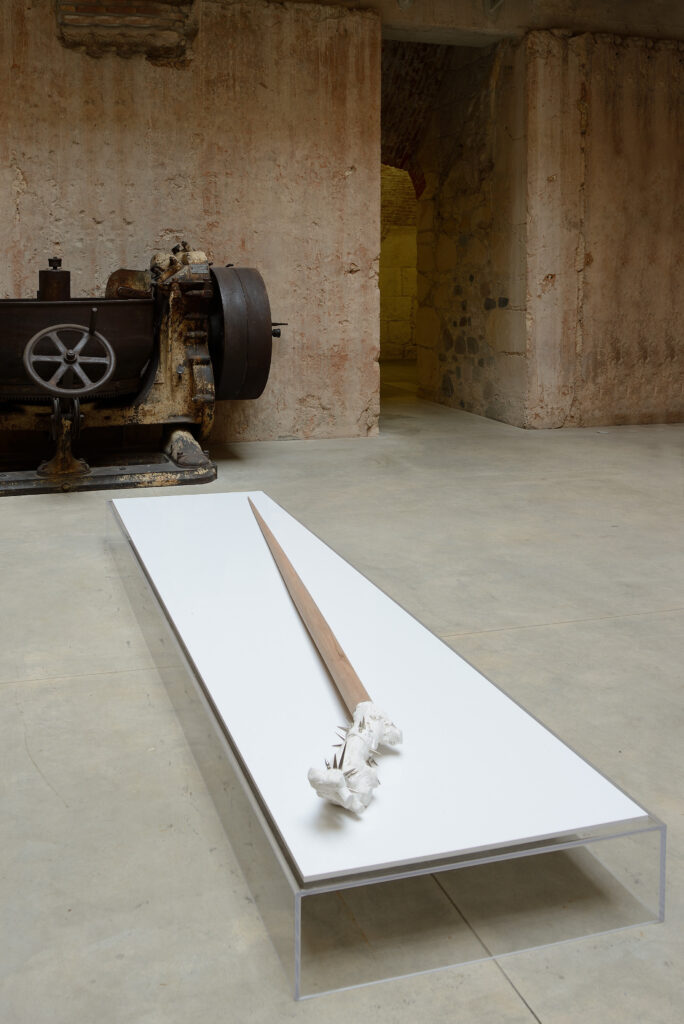 Nico Vascellari, Bastard of Disguise, 2006 – Courtesy l’artista