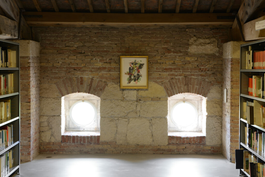 PH MICHELE ALBERTO SERENI