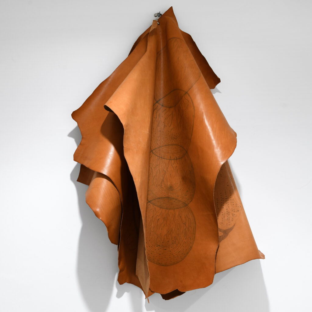 Sabrina Torelli, Nature Congeneri I, 2003, installation view, Polo di Ca’ Vignal – Courtesy l’artista, Ph. M. A. Sereni – Detail
