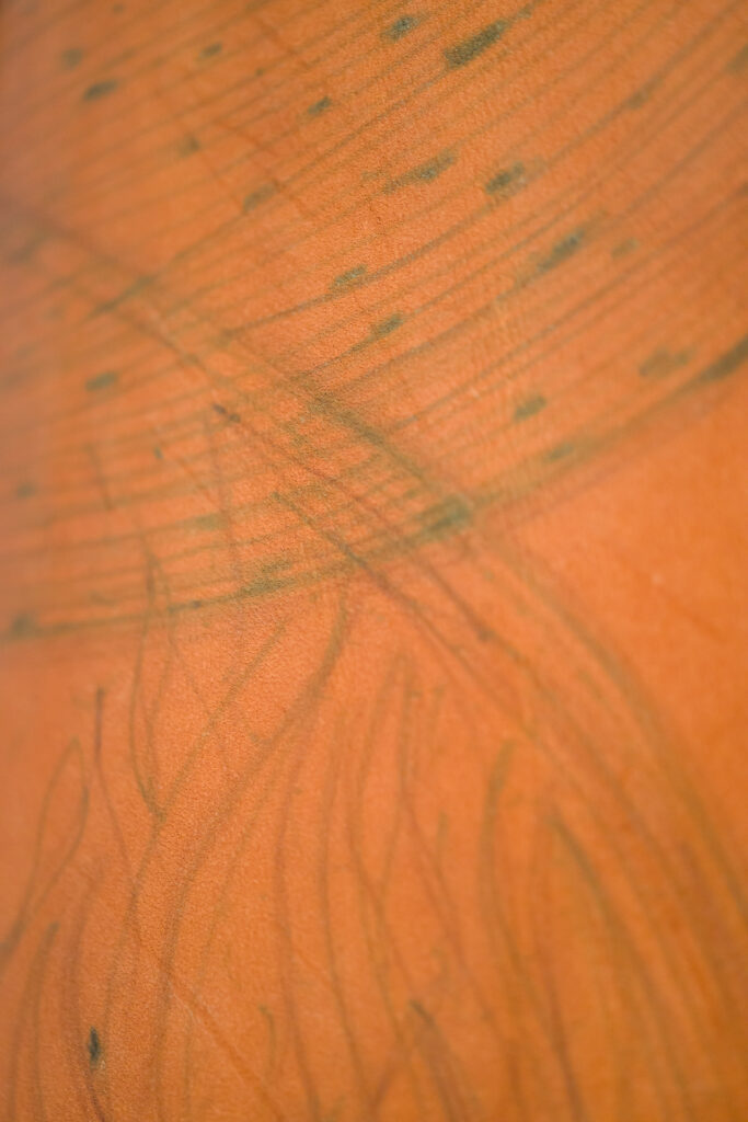 Sabrina-Torelli_-Nature-Congeneri-I_-2003-Courtesy-l_artista_-Ph.-F