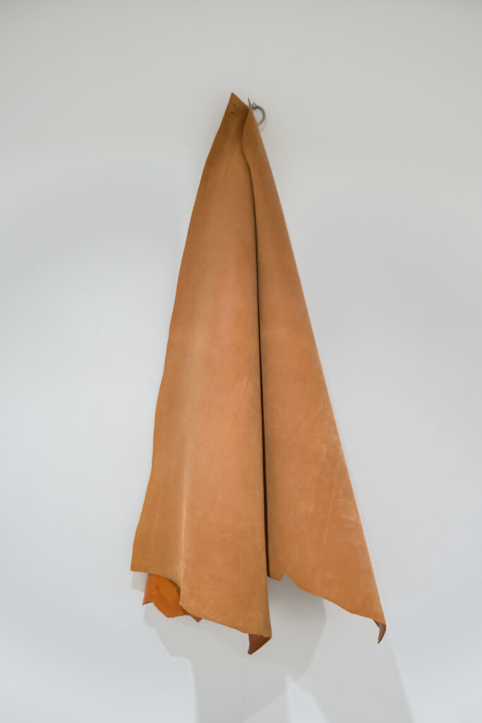 Sabrina-Torelli_-Nature-Congeneri-I_-2003-Courtesy-l_artista_-Ph.-F-_1_