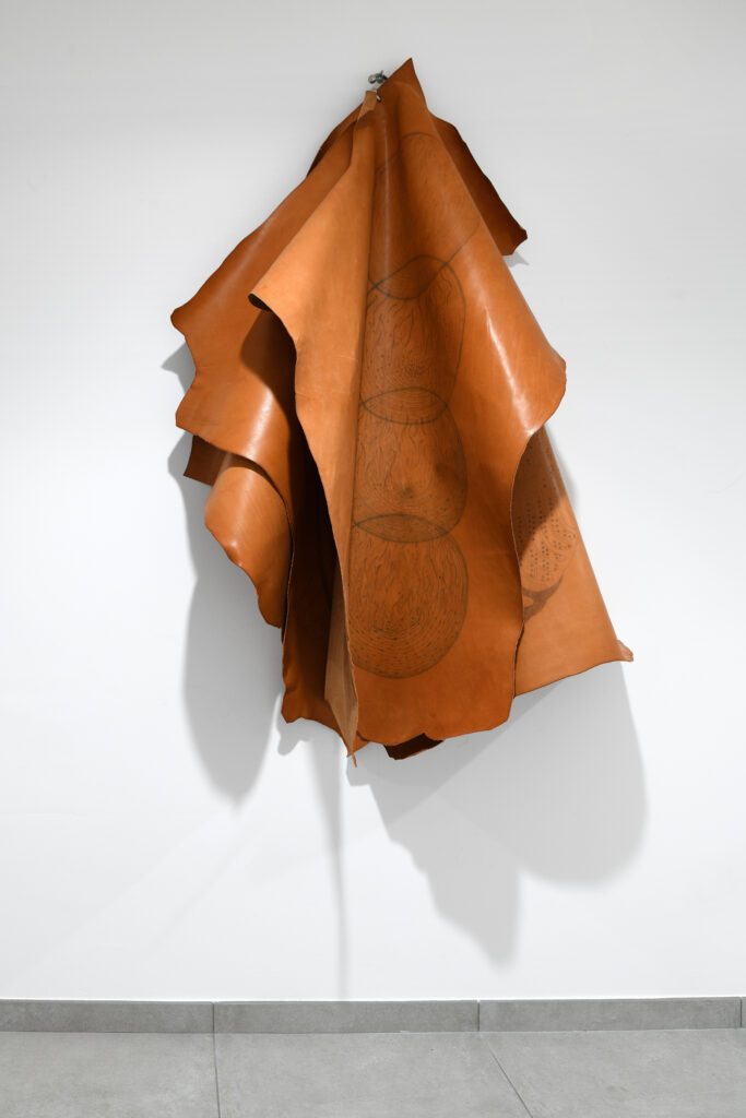 Sabrina-Torelli_-Nature-Congeneri-I_-2003-Courtesy-l_artista_-Ph.-M.-A