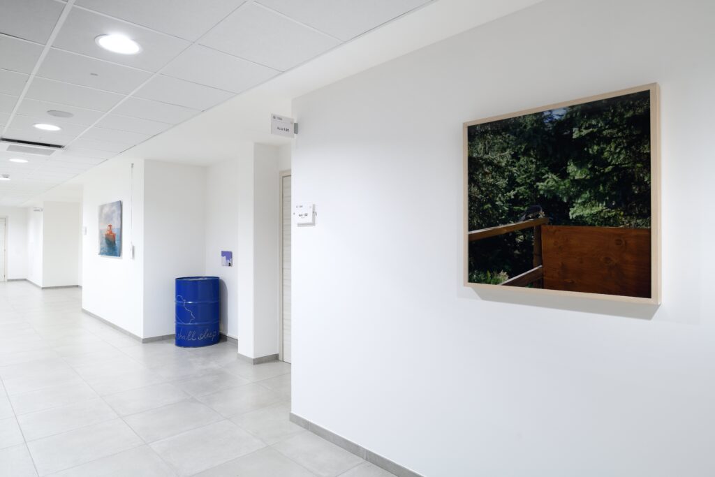 Sandrine Nicoletta, January 20, 2005_ therefore we shall sleep well, 2005, installation view, Polo di Ca’ Vignal – Courtesy l_artista, Ph. M. A. Sereni(1)