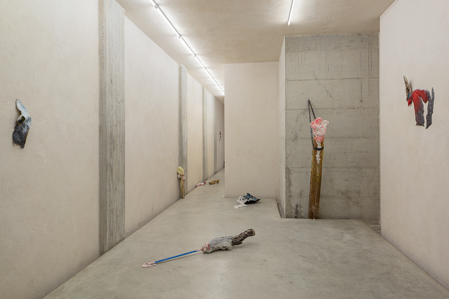 Sebastiano Sofia, Davide, 2015-2016, installation view, Car drde, Bologna(1)