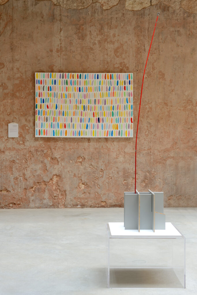 Serena Vestrucci, Il momento in cui prima o poi si comincia a leccare per andare avanti, 2012 – Courtesy l’artista, Ph. M. A
